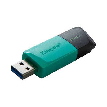 256GB KINGSTON DTXM USB 3.2 Gen 1