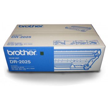 DRUM BROTHER 2025