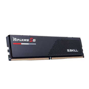 16GB DDRAM 5 6000 G.Skill -F5-6000J3636F16GX1-RS5K