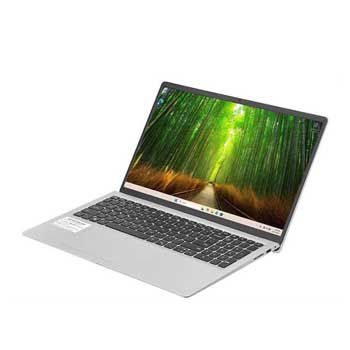 Dell 15 DC15250-i7U161W11SLU (Bạc)