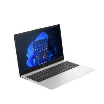 HP 250 G10 - A06F6PT (Bạc)